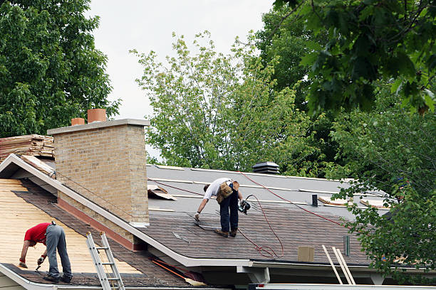 Quick and Trustworthy Emergency Roof Repair Services in Brooklyn Park, MD