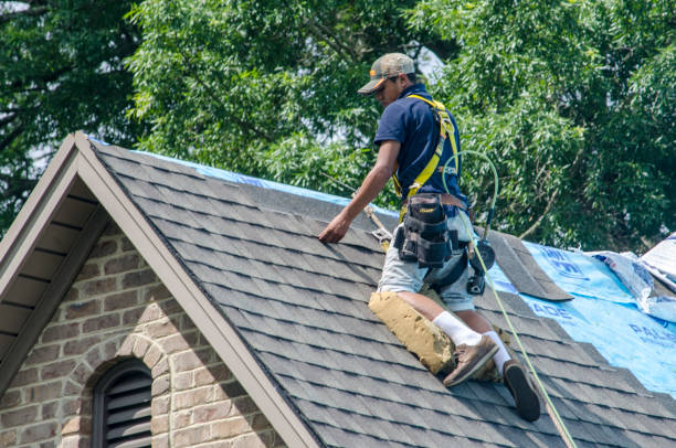 Best Roof Leak Repair  in Brooklyn Park, MD